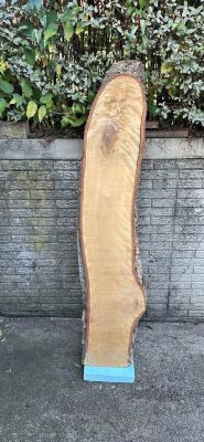 Large Slab