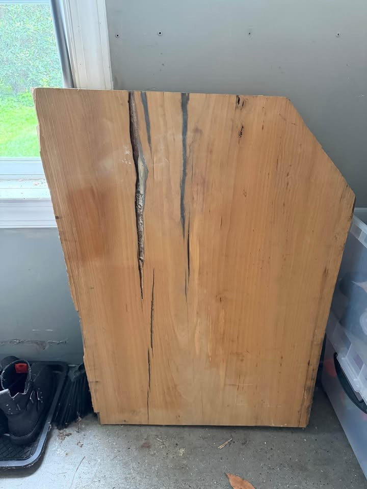 Live Edge Elm Wood Slab - Image 3