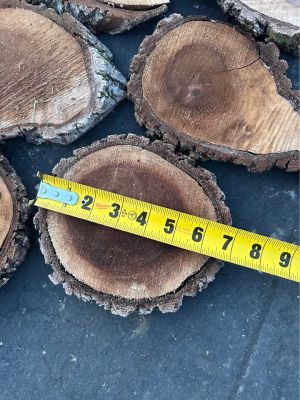 Live Edge Walnut Wood Cookie Rounds $2 each