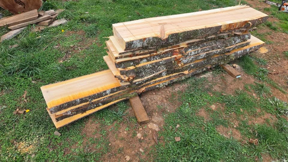 Live edge wood slabs - Image 5