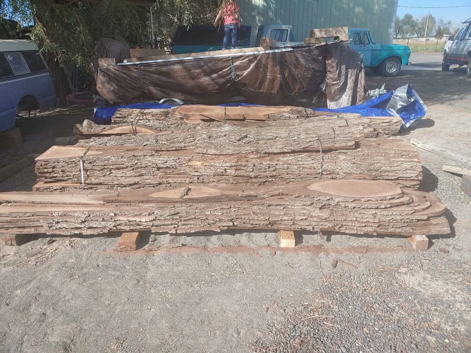 Black Walnut Slabs - Image 2