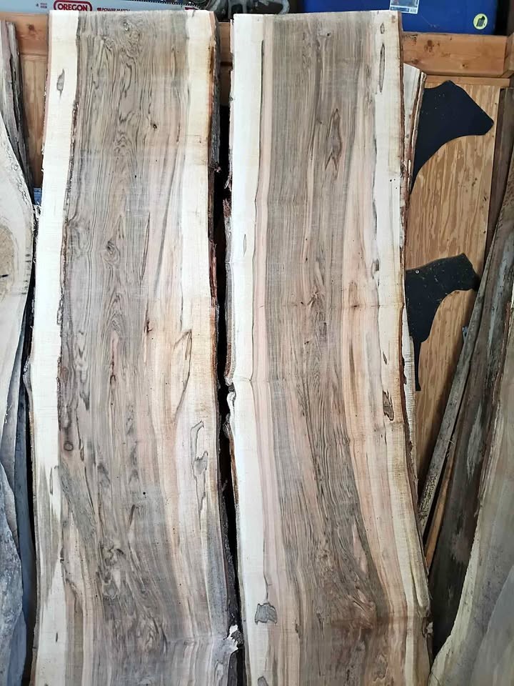 Live edge ambrosia Maple slabs - Image 1