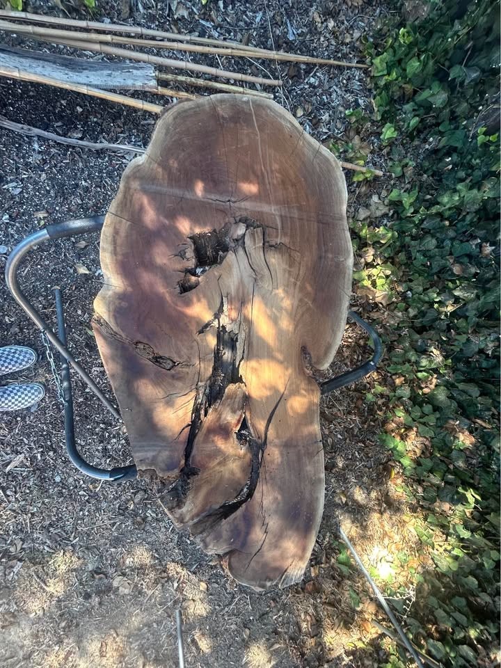 Raw wood 3 slabs of very unique mesquite straight from Arizona - Image 5