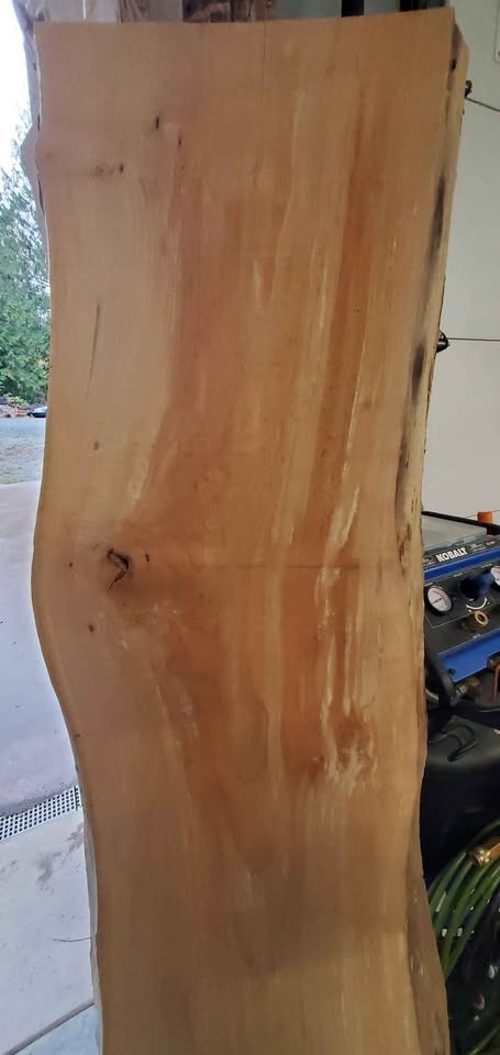 Maple Live Edge Slab, Kiln Dried - Image 2